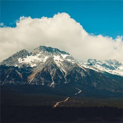 真人斗牛牛最新版